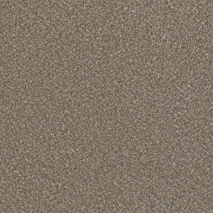 1-4067-2391-1200-a-variant-room-scene