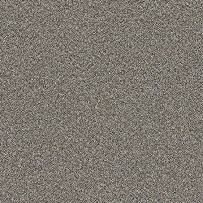 1-4067-4025-1200-a-variant-room-scene