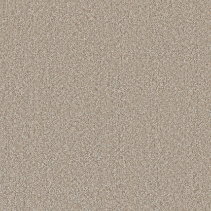 1-4047-4277-1200-a-variant-room-scene