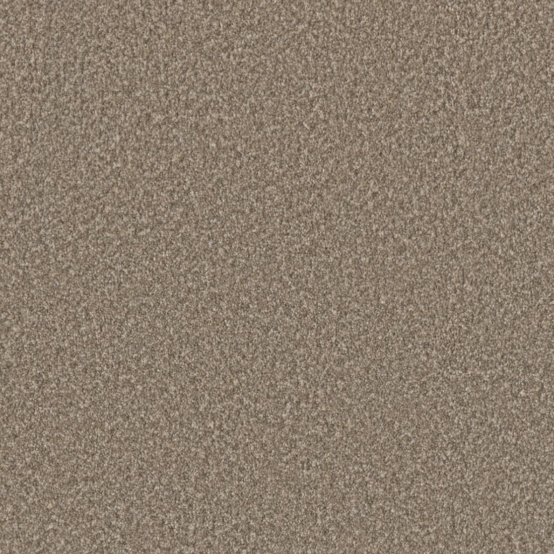 1-4067-4506-1200-a-variant-room-scene
