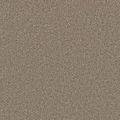 1-4067-4506-1200-a-variant-room-scene