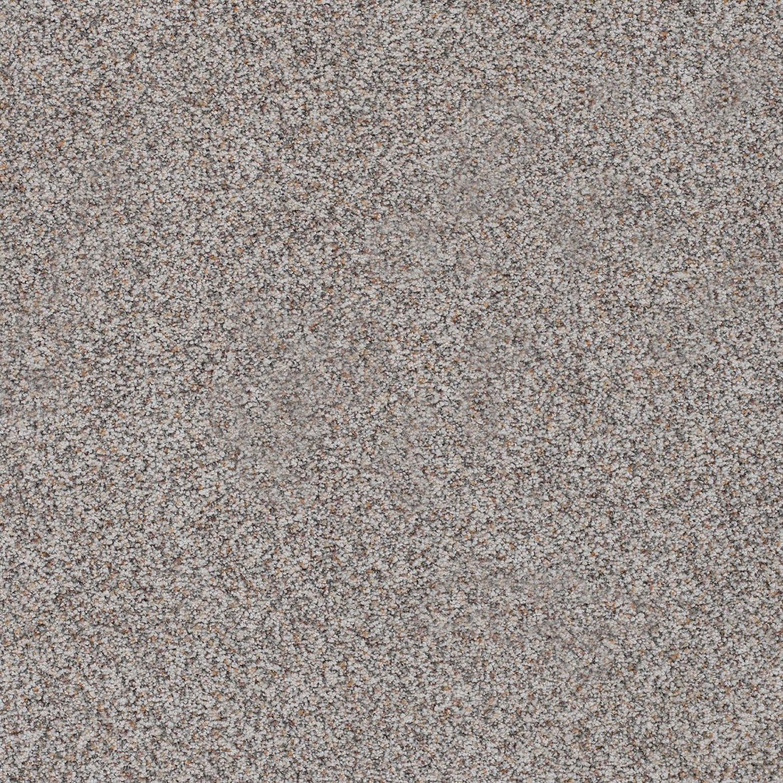 1-4048-2733-1200-a-variant-room-scene