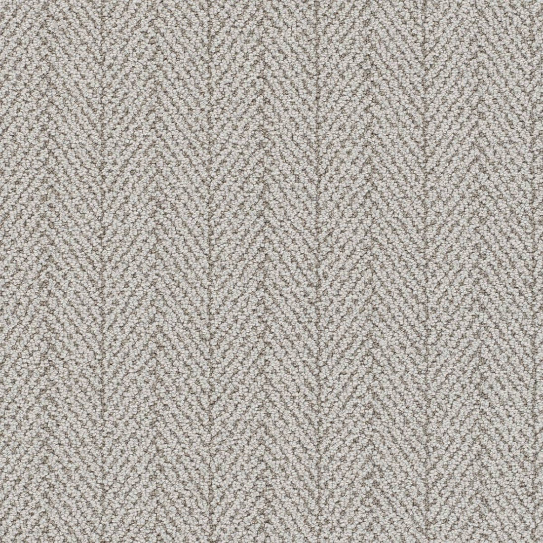 1-4235-4529-1200-a-variant-room-scene