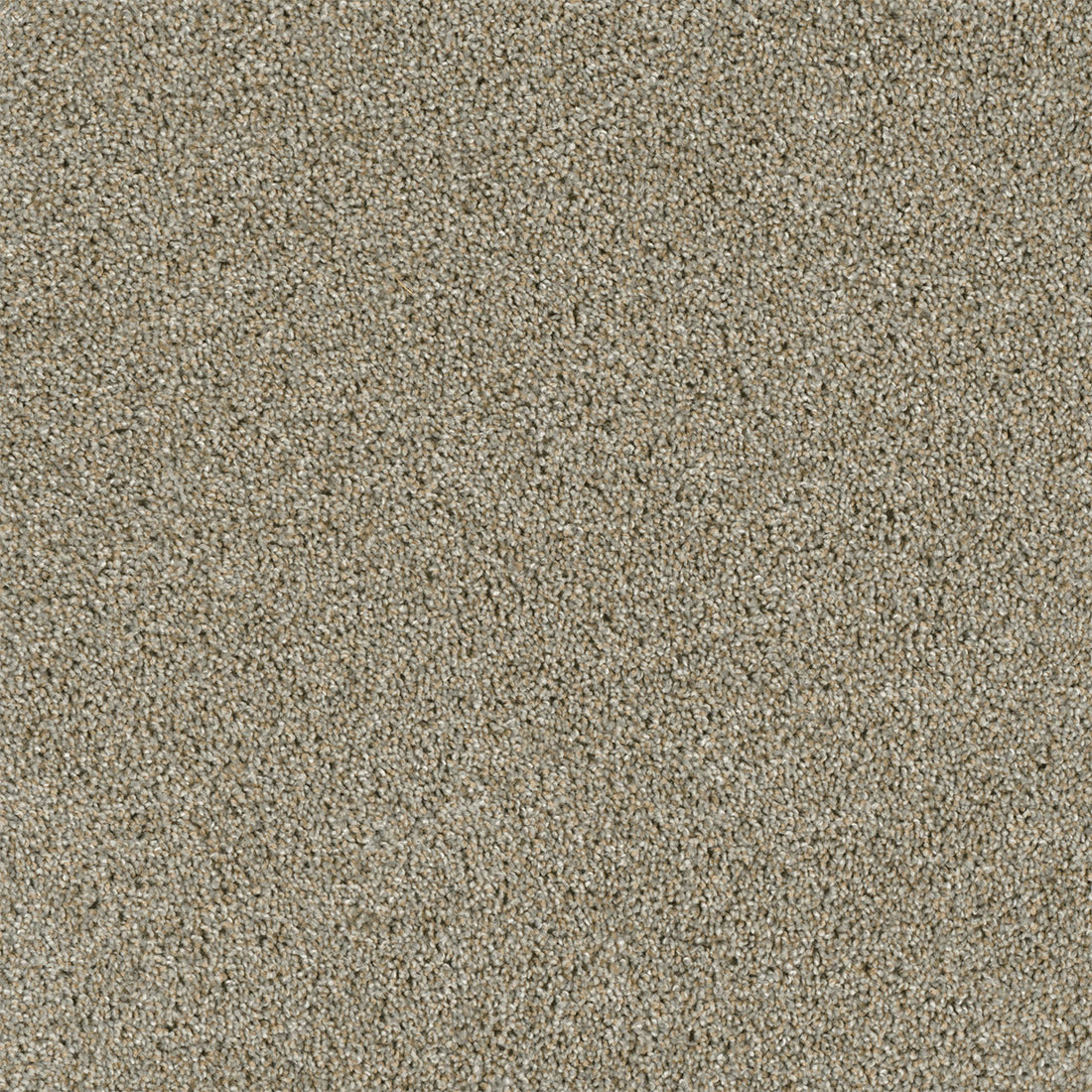 1-4330-116-1200-a-variant-room-scene