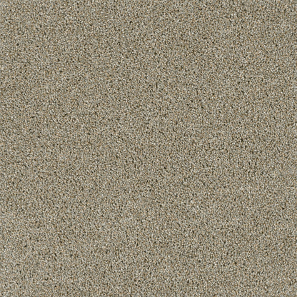 1-4330-116-1200-a-variant-room-scene