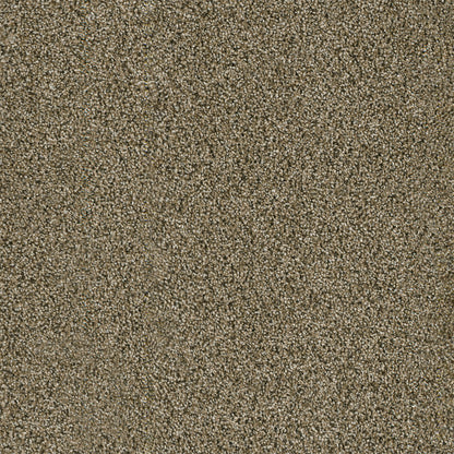 1-4330-307-1200-a-variant-room-scene