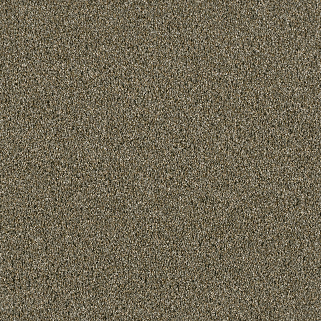 1-4330-528-1200-a-variant-room-scene