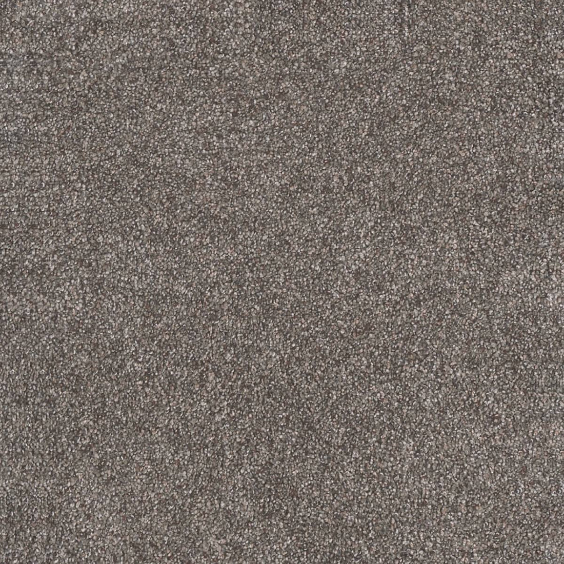 1-4440-4123-1200-a-variant-room-scene