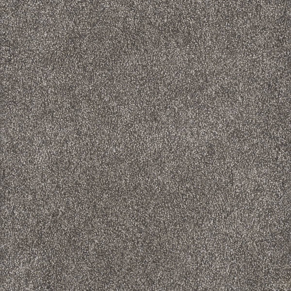 1-4440-5026-1200-a-variant-room-scene