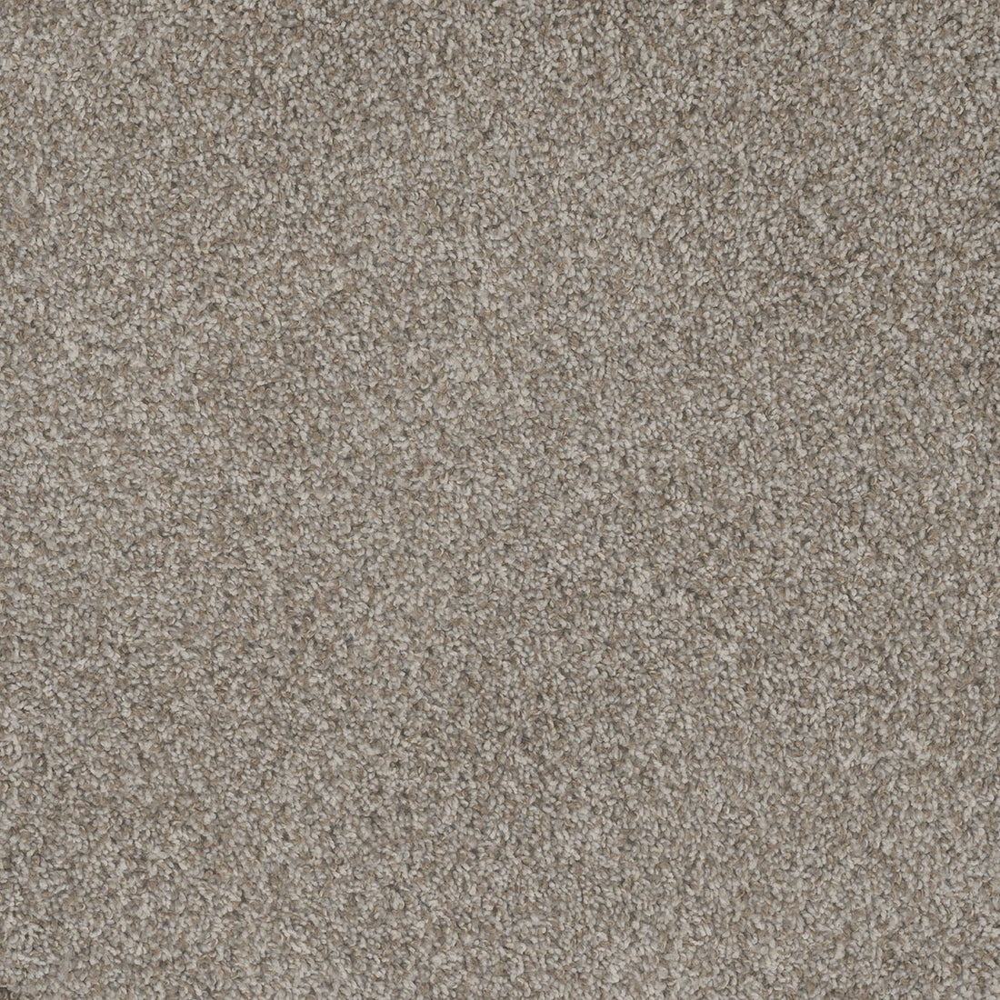 1-4730-2019-1200-a-variant-room-scene