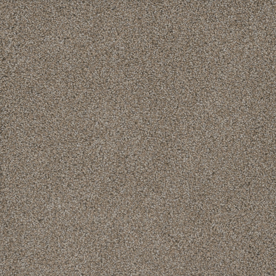 1-4730-4021-1200-a-variant-room-scene