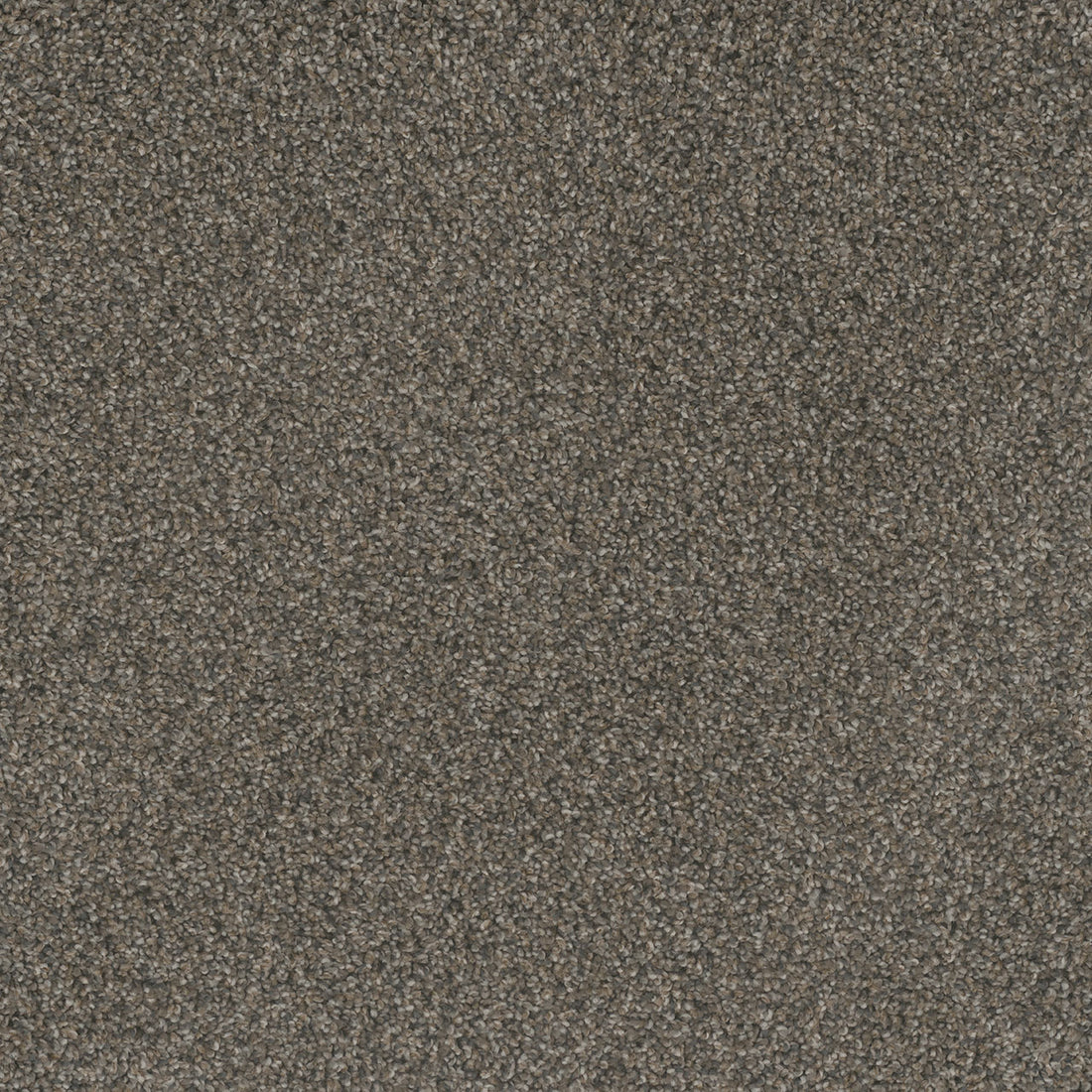 1-4740-2062-1200-a-variant-room-scene