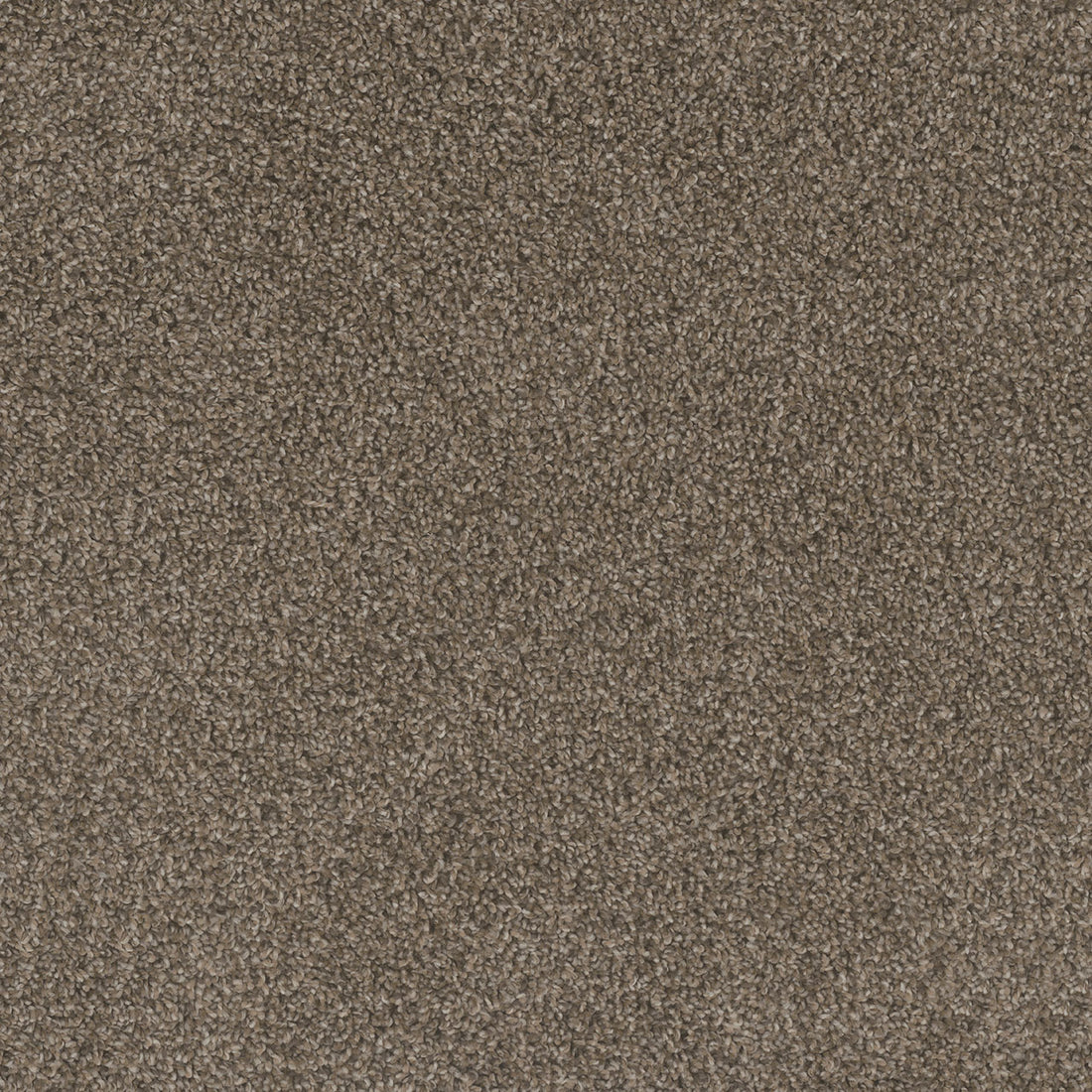 1-4730-4026-1200-a-variant-room-scene