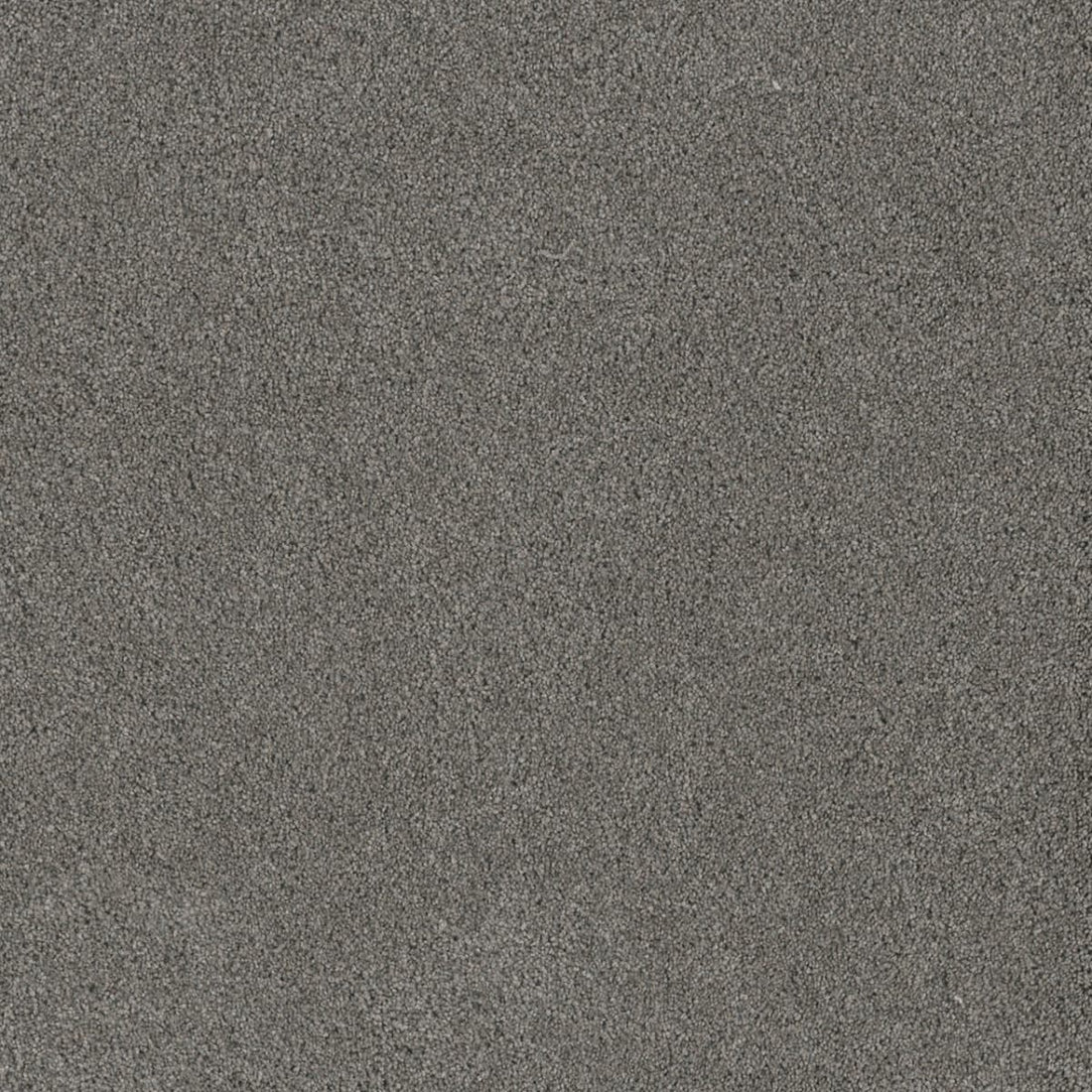 1-4765-955-1200-a-variant-room-scene