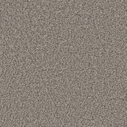 1-4948-6028-1200-a-variant-room-scene