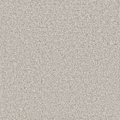 1-4948-6057-1200-a-variant-room-scene
