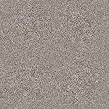 1-4948-6107-1200-a-variant-room-scene