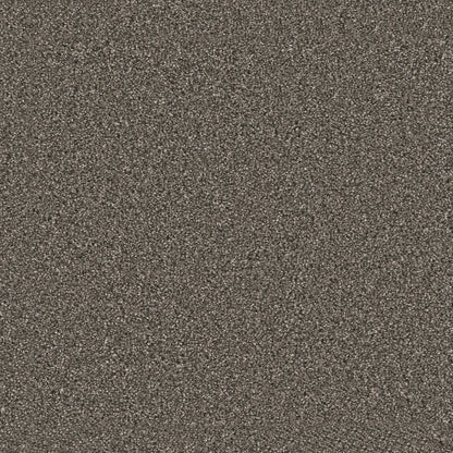 1-4929-6112-1200-a-variant-room-scene