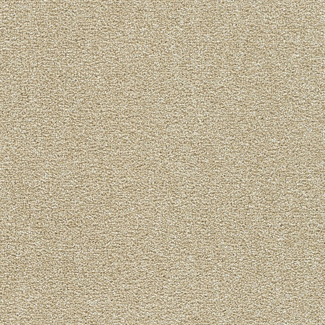 1-4960-2947-1200-a-variant-room-scene