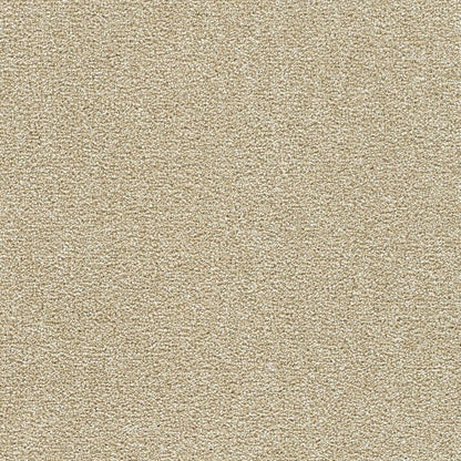 1-4960-2947-1200-a-variant-room-scene