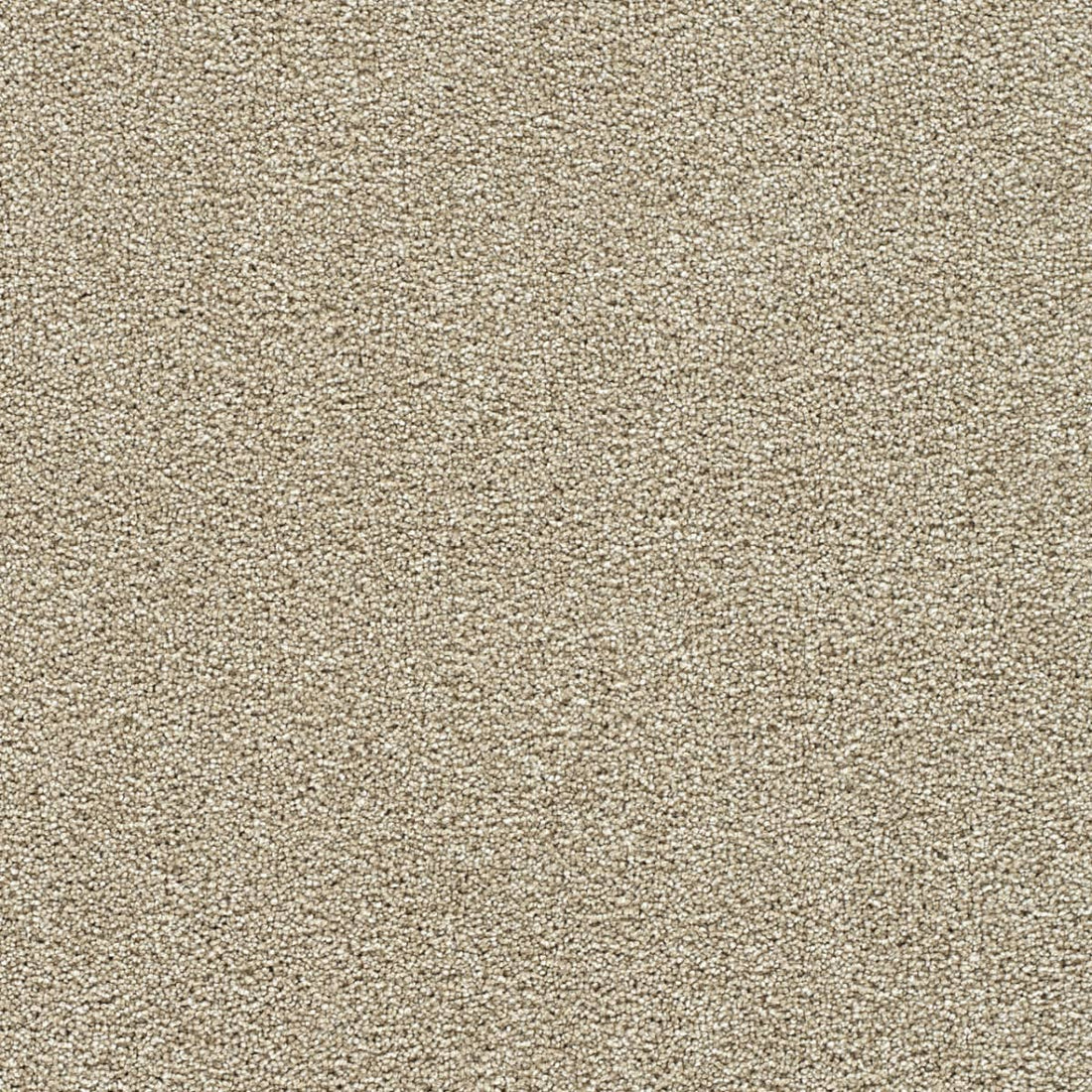 1-4960-2984-1200-a-variant-room-scene