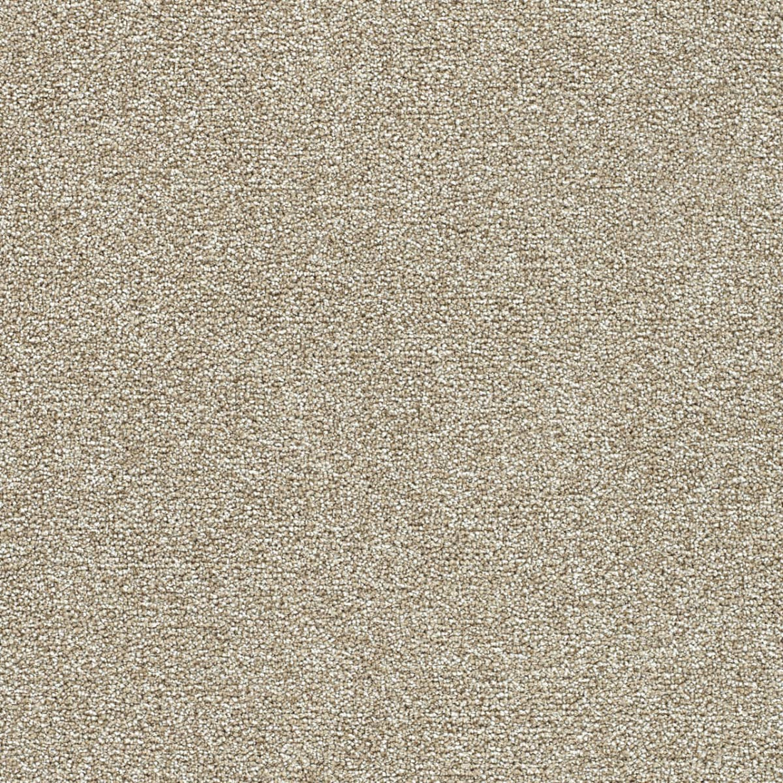1-4960-4040-1200-a-variant-room-scene