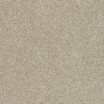 1-4960-4040-1200-a-variant-room-scene
