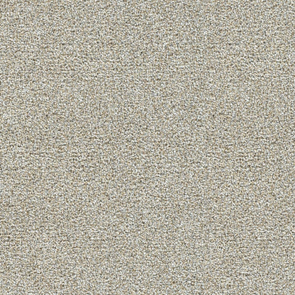 1-4960-4429-1200-a-variant-room-scene