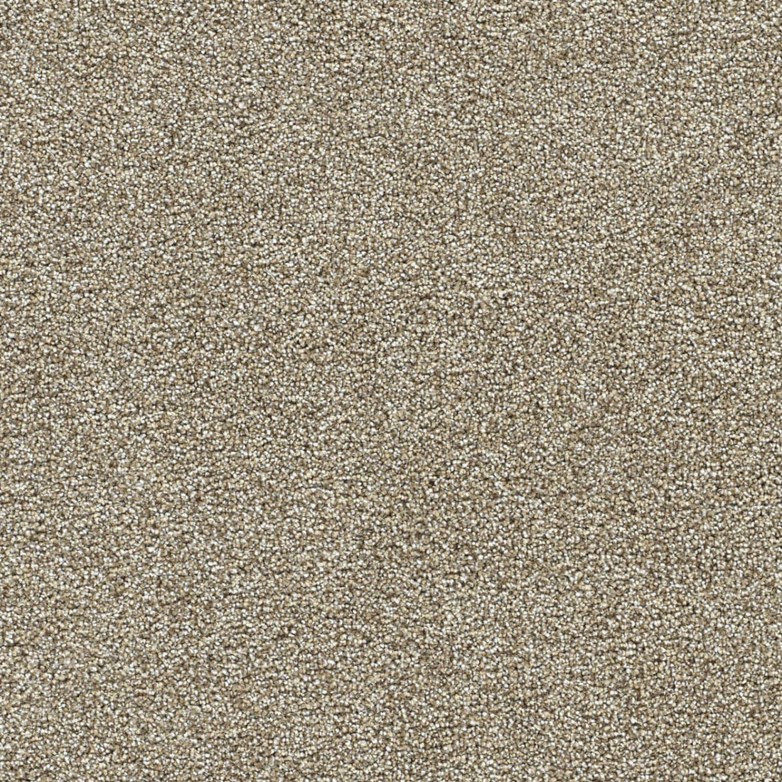 1-4960-4526-1200-a-variant-room-scene