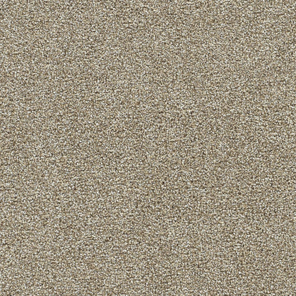 1-4960-4526-1200-a-variant-room-scene
