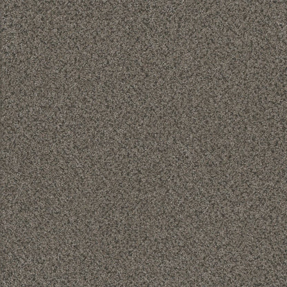 1-4640-362-1200-a-variant-room-scene