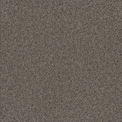 1-4755-362-1200-a-variant-room-scene
