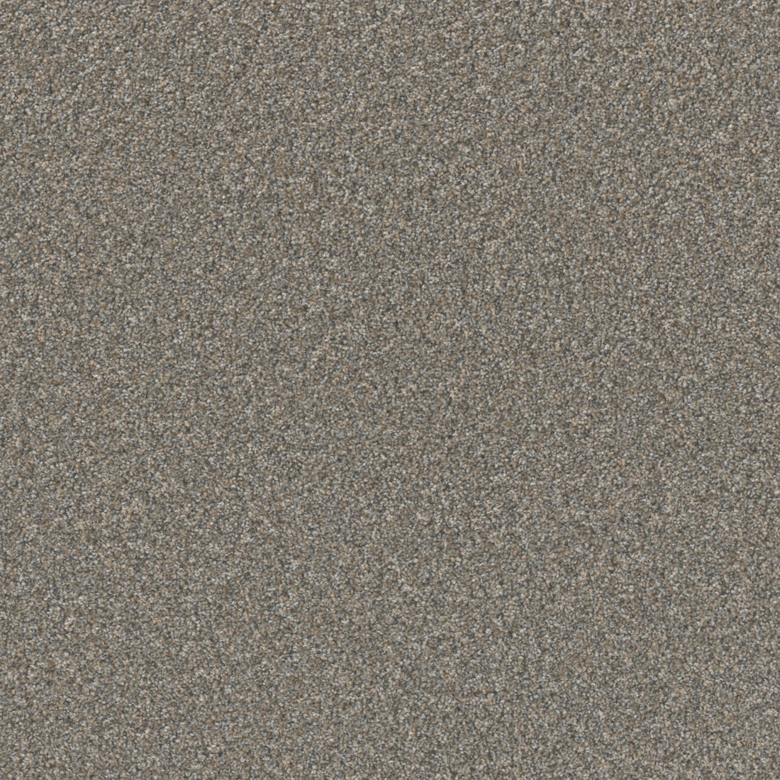 1-5042-2237-1200-a-variant-room-scene