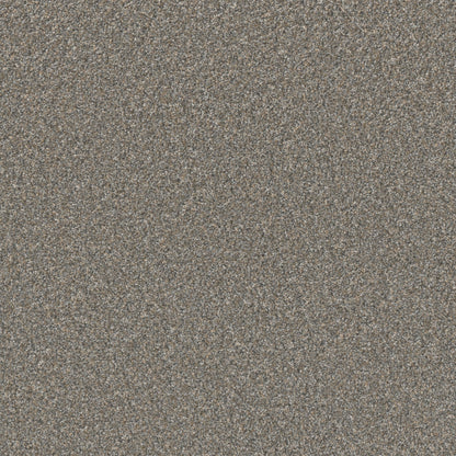 1-5042-2237-1200-a-variant-room-scene