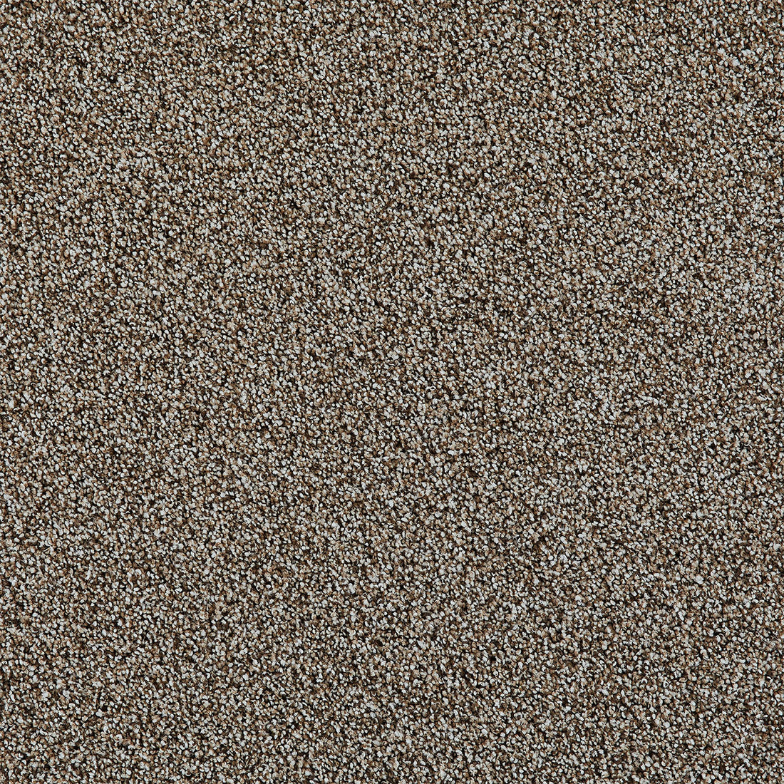 1-5062-2308-1200-a-variant-room-scene