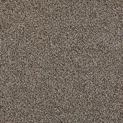 1-5062-2308-1200-a-variant-room-scene