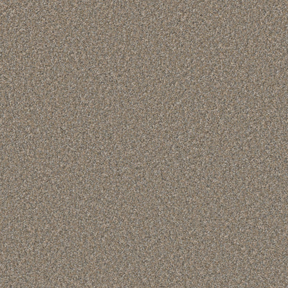 1-5042-2401-1200-a-variant-room-scene