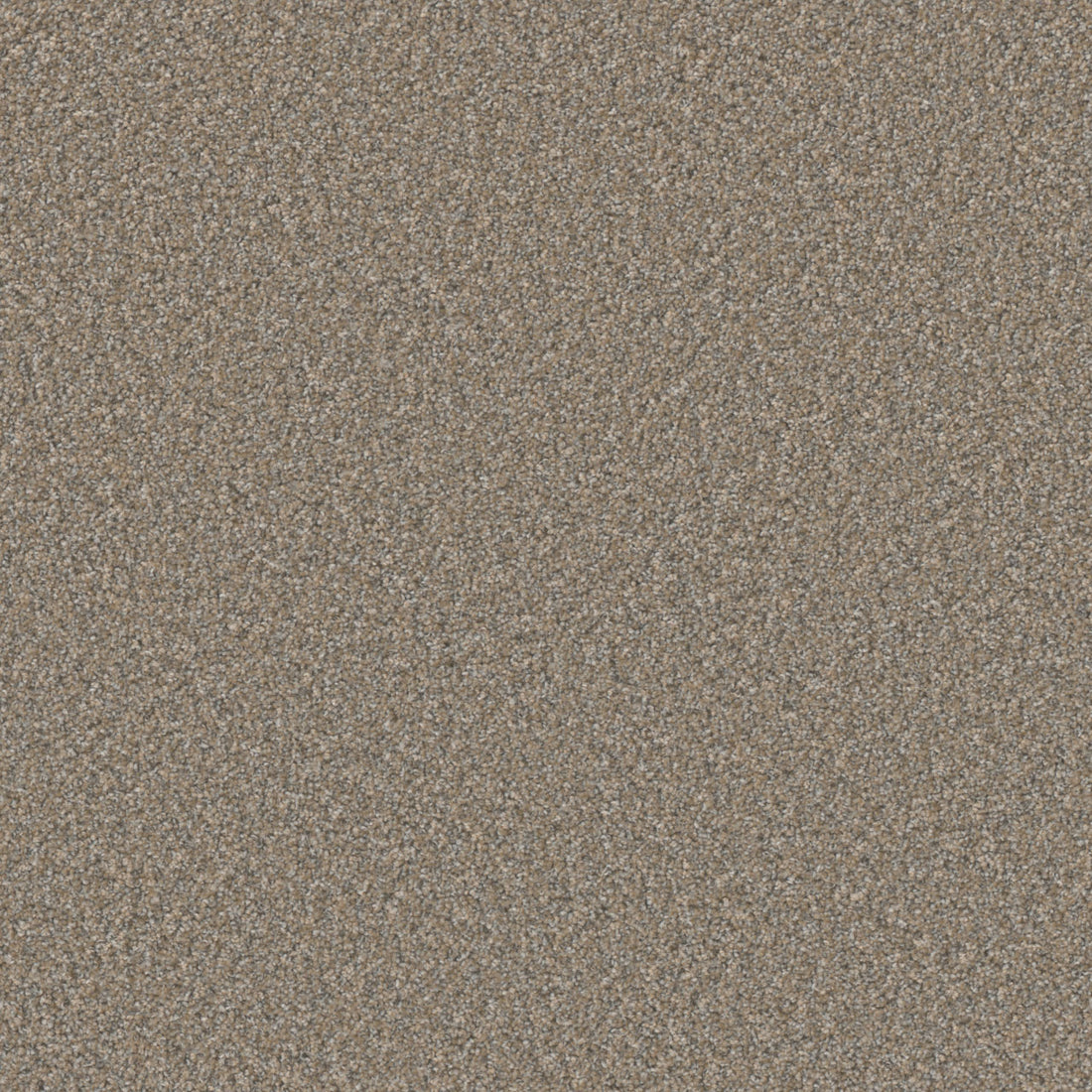 1-5072-2401-1200-a-variant-room-scene