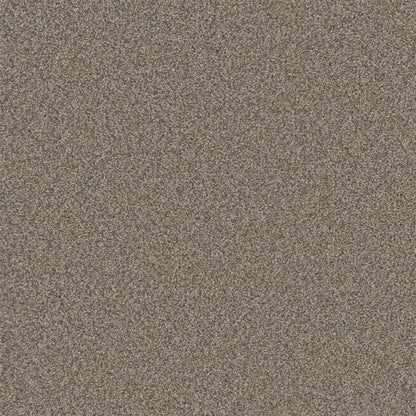 1-5137-6004-1200-a-variant-room-scene