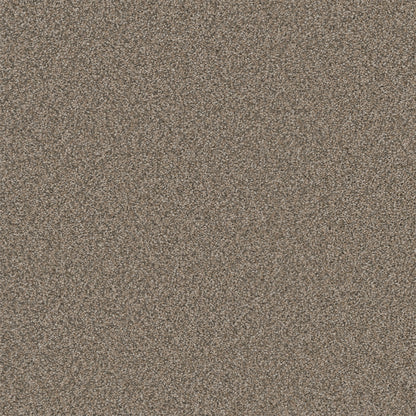 1-5154-6004-1200-a-variant-room-scene