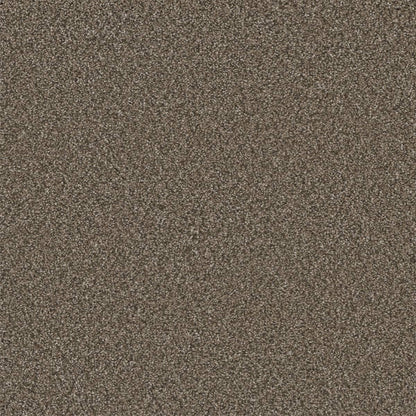 1-5137-6005-1200-a-variant-room-scene