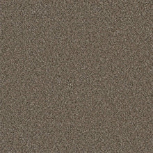 1-5146-6005-1200-a-variant-room-scene