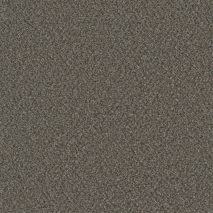 1-5137-6049-1200-a-variant-room-scene