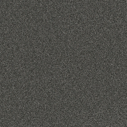 1-5154-6064-1200-a-variant-room-scene