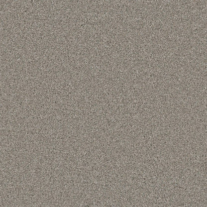 1-5146-6076-1200-a-variant-room-scene