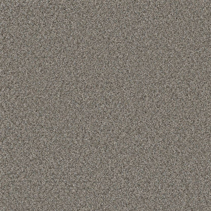 1-5137-6077-1200-a-variant-room-scene