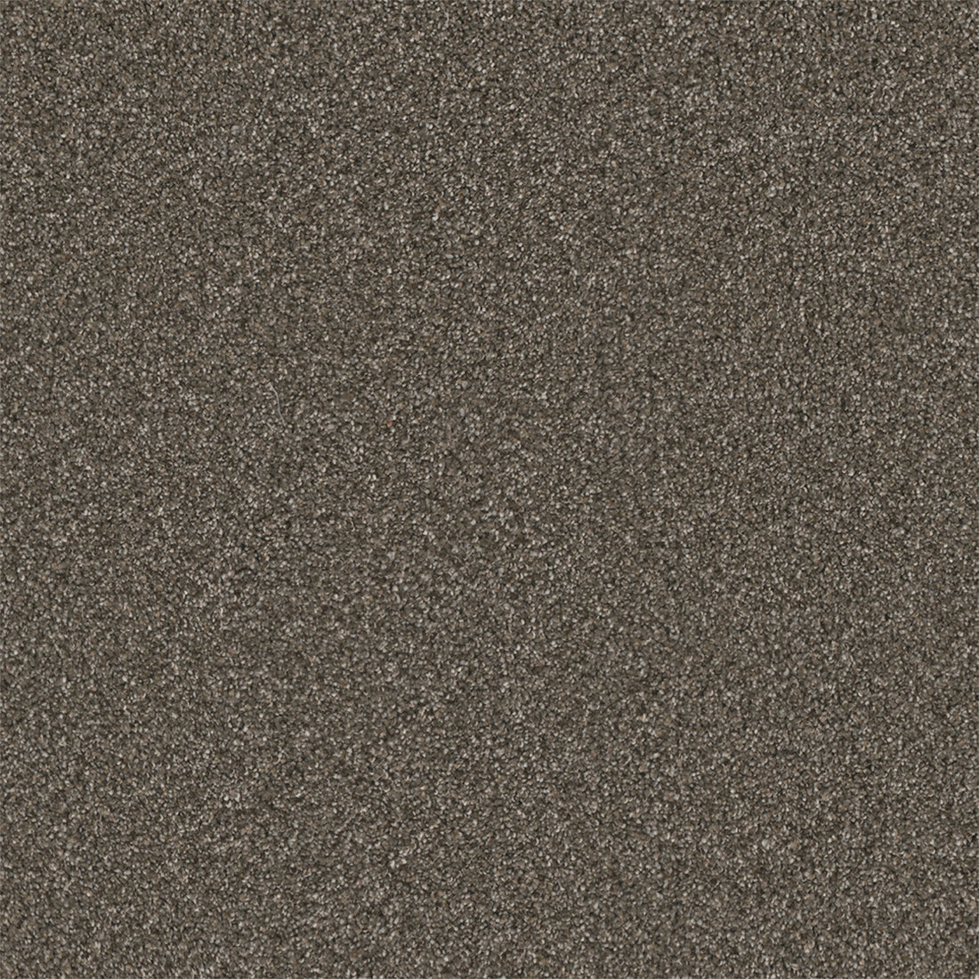 1-5137-6112-1200-a-variant-room-scene