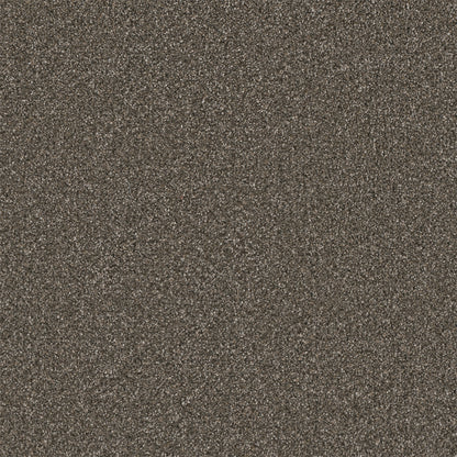 1-5137-6112-1200-a-variant-room-scene