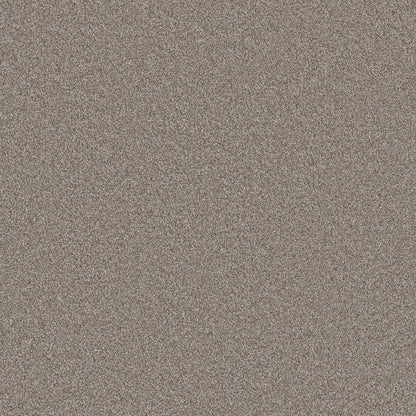 1-6200-815-1200-a-variant-room-scene