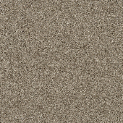 1-5245-784-1200-a-variant-room-scene